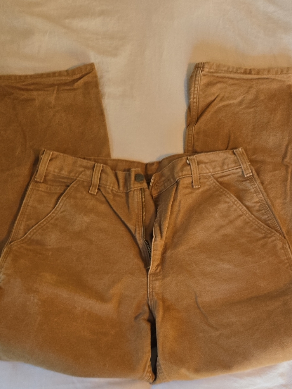 Carhartt Men's Corduroy Pants in Brown